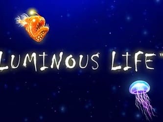 Luminous Life screenshot
